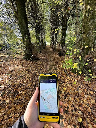 Urban Tree Management - Arboricultural Consultants