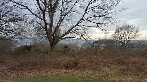 Pipers Vale - Visual