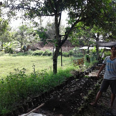 Photos of g4r3nx-property