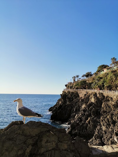 Manarola Mulino