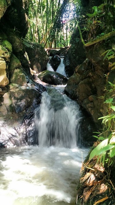 Photos of Parque de la fruta