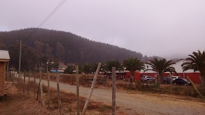 Photos of Forest Lipim&aacute;vida