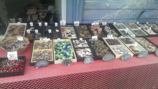 Tortuga Trading Co - Thumbnail
