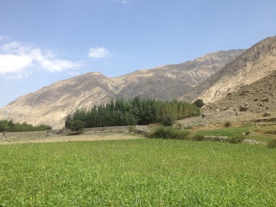 Haji Qayoom Garden باغ حاجي قيوم