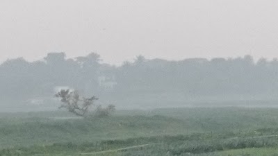 Photos of Kachkura Bus Stop