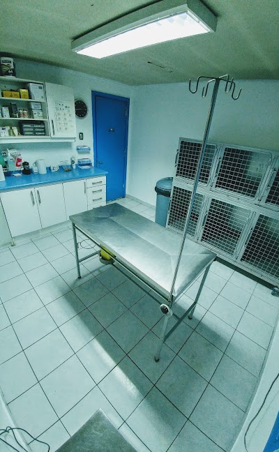 Photos of Marceven, Vets