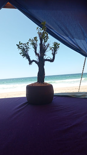 Cecy´s Massage Gallery - Mexico