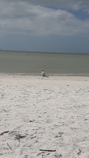 Estero Island Parasail - Pick Up At Mid Island Water Sports, Sandpiper Beach Resort - Thumbnail