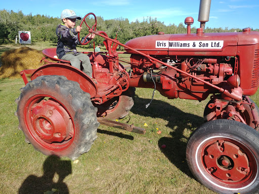 Uris Williams & Sons Ltd - Thumbnail