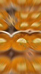 Photo n°57 de NEW TAJ MAHAL TANDOORI à Lyon (Restaurant indien)