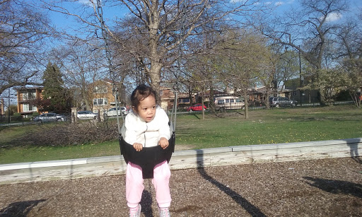 Abbott (Robert) Park - Visual