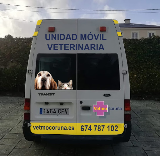 Vetmo-Veterinario a Domicilio