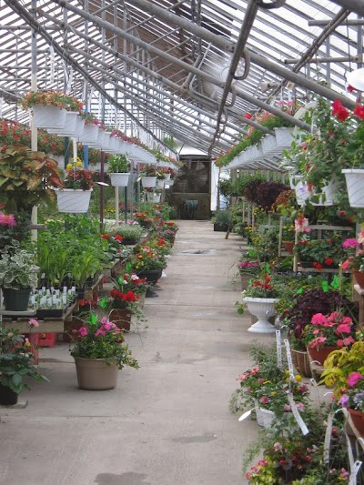 Photos of Kircher's Flowers and Garden Center