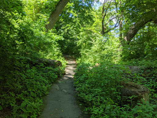 Ralph Morgan Park - Thumbnail