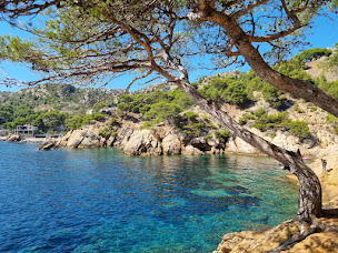 Photo n°2 de Bateau Marseille Calanques à Marseille (Agence d'excursions en bateau)