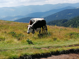 Photo n°24 de Chambres d'hôtes La Fritillaire à La Montagne (Chambre d'hôtes)