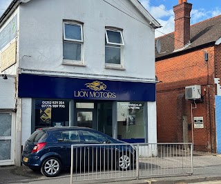 LION MOTORS LTD