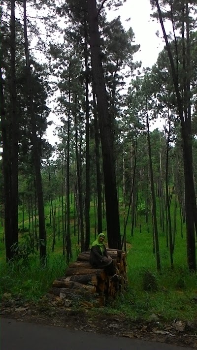 Photos of Kawuk Rest Area Sumber