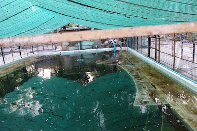 Photos of Yangon Zoological Garden