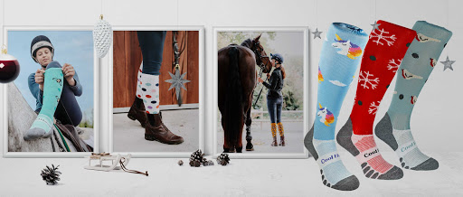 Coolhorsesocks - Visual