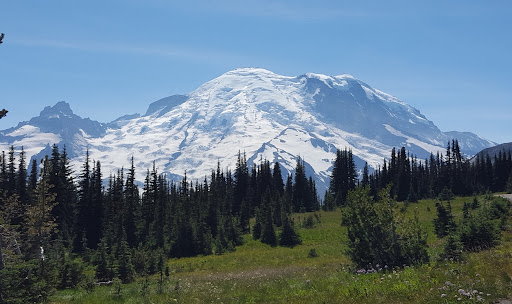 Enumclaw Massage Therapy - Visual
