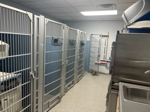 Capitol Illini Veterinary Services - Chatham - Thumbnail