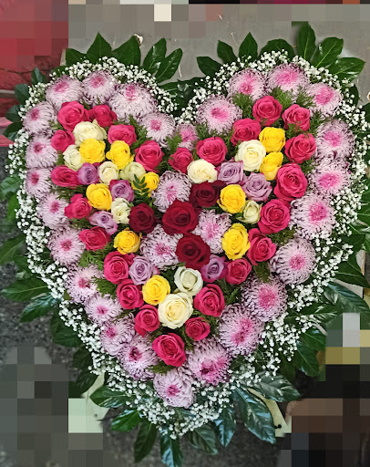 Blumen Uffinger - Visual