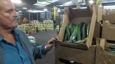 Photos of Delta Market Angents