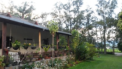 Photos of La Estancia Restaurante Campestre Y Organico Chinacota