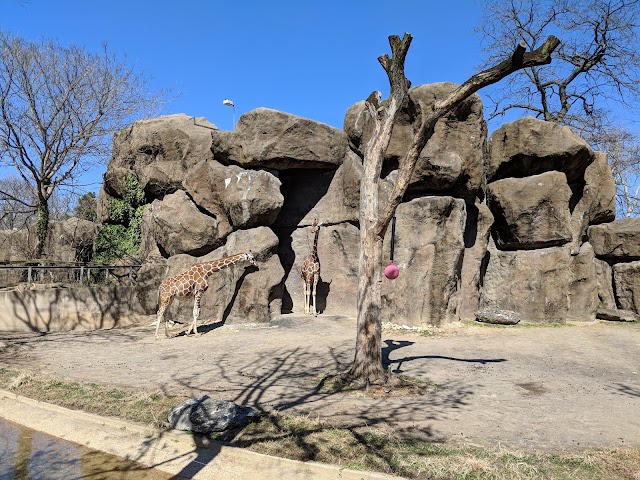 Philadelphia Zoo