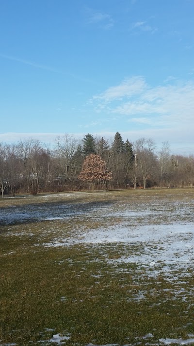 park