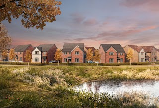 Allison Homes - Auster Meadows