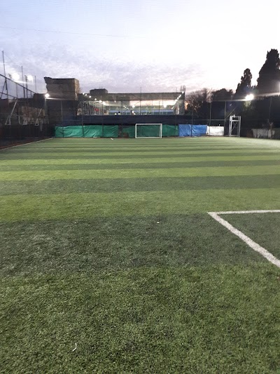 Altınay Sports Club Astroturf Facilities