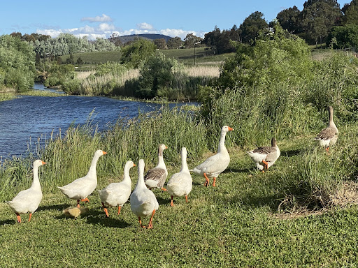 Marsden Weir Park - Thumbnail