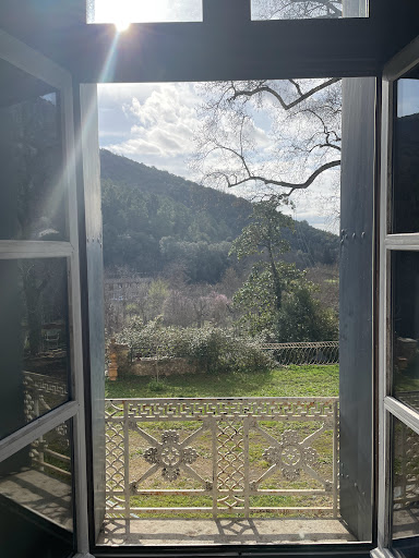 Scholae - Visual