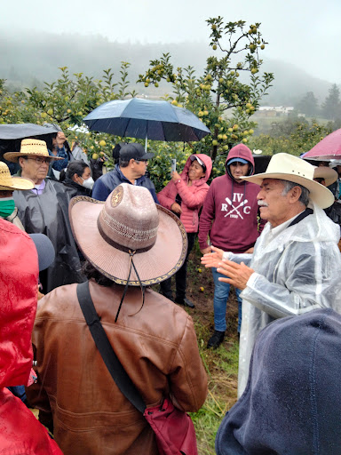 Rancho las manzanas
