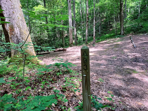 Backcountry Campsite #93 Gallery - United States