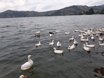 Gölevi Restoran