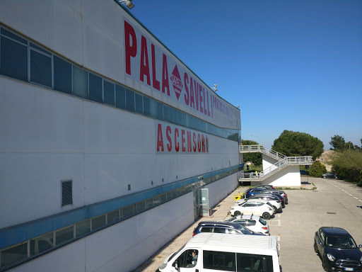PalaSavelli Gallery - Italy