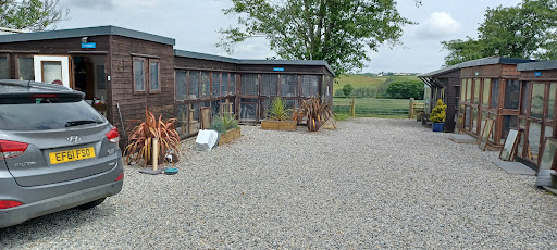 CAT Church Farm Cattery