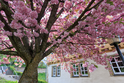 Schloss Deufringen - Thumbnail
