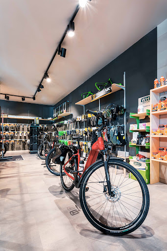 Cycle Lab - Visual