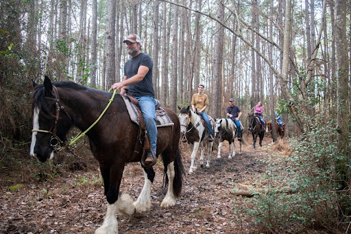 Grand Strand Horseback Riding