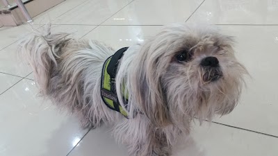 pet-store