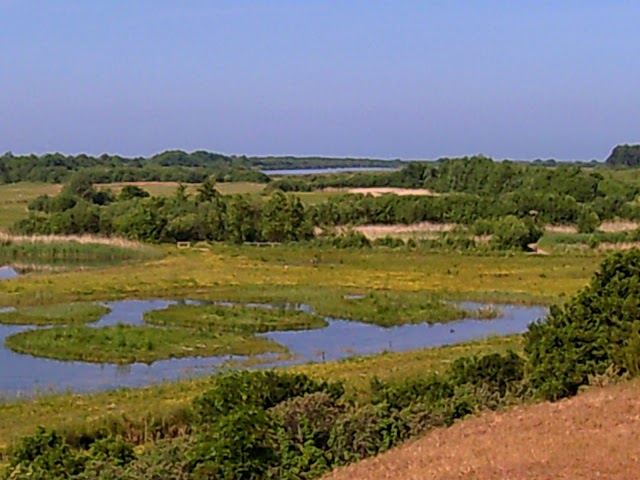 Parc du Marquenterre