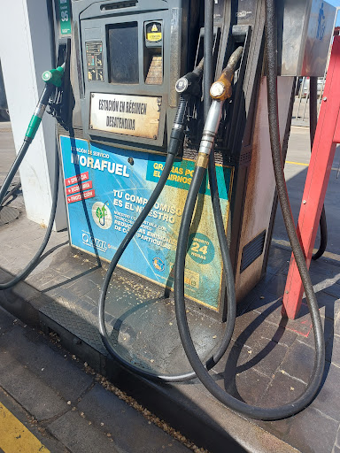 MORAFUEL - Visual