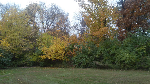 Endres Park - Visual