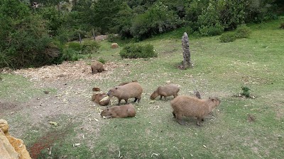 Photos of Casa de Campo El Shaddai