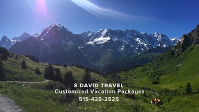 S David Travel