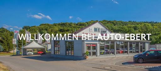 Auto Ebert - Visual